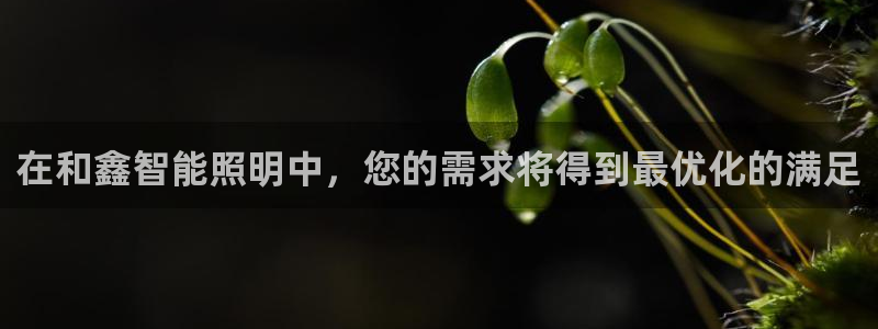 云顶国际是正规平台吗安全吗