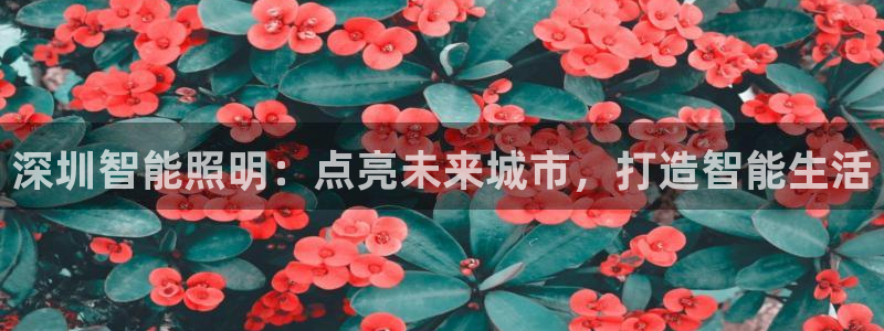 云顶国际服什么时候更新s115